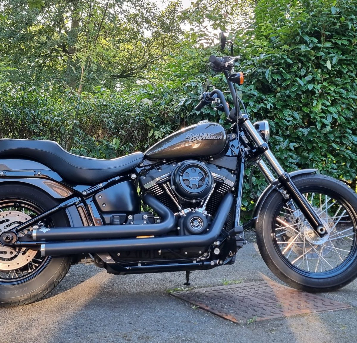 Harley Street Bob